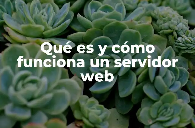 Cómo interactúan los servidores web con los usuarios