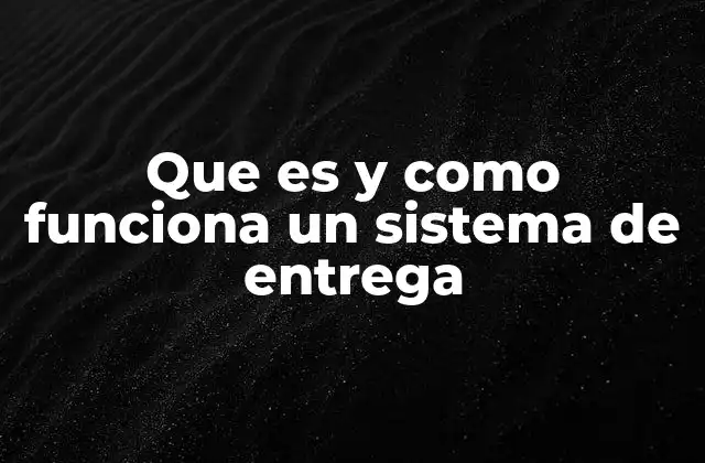 Que es y como Funciona un Sistema de Entrega