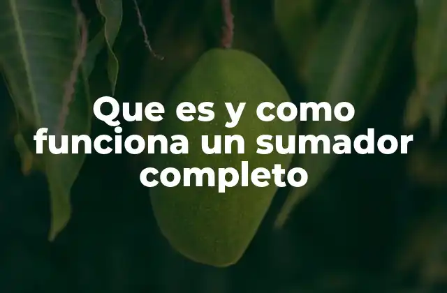 La base lógica detrás del sumador completo