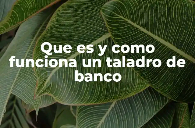 Que es y como Funciona un Taladro de Banco