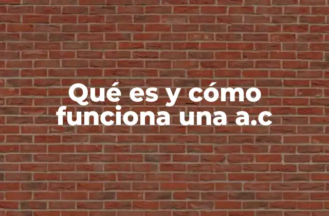 Diferencias entre una a.c. y otras entidades sin fines de lucro