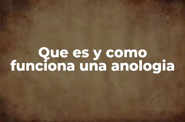 Que es y como Funciona una Anologia