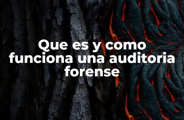 Que es y como Funciona una Auditoria Forense