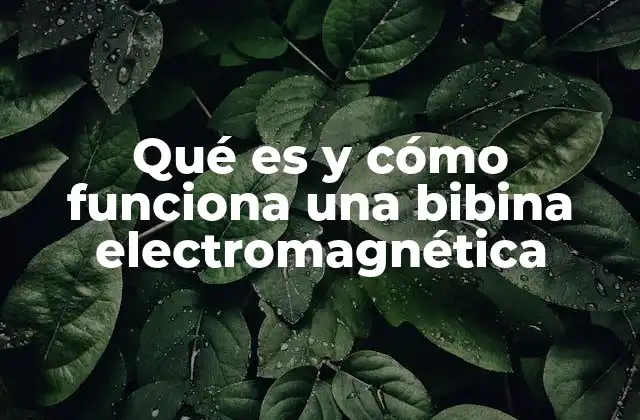 Qué es y Cómo Funciona una Bibina Electromagnética