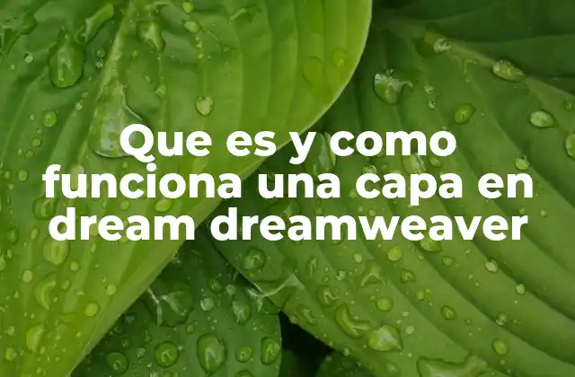 Que es y como Funciona una Capa en Dream Dreamweaver