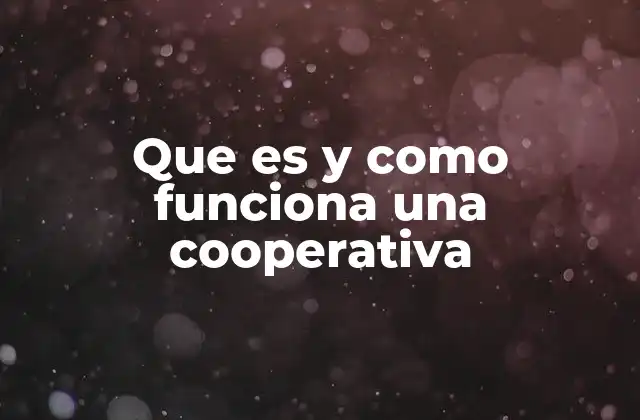 Que es y como Funciona una Cooperativa