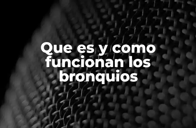 La anatomía detrás del sistema bronquial