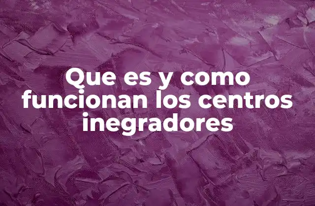 Que es y como Funcionan los Centros Inegradores