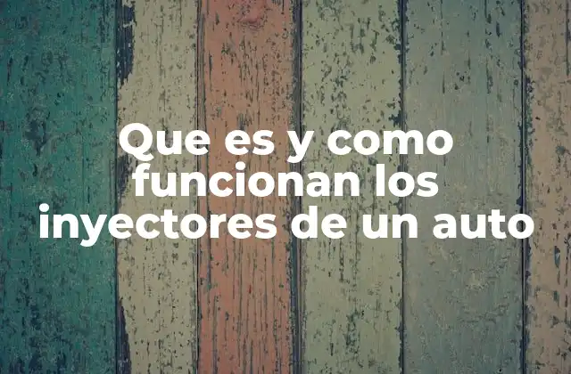 Que es y como Funcionan los Inyectores de un Auto