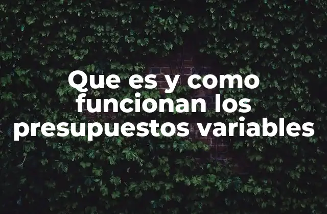 Que es y como Funcionan los Presupuestos Variables