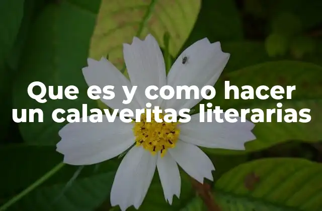Que es y como Hacer un Calaveritas Literarias