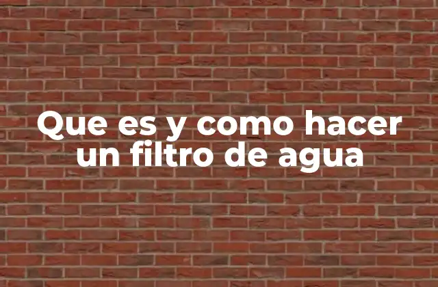 Que es y como Hacer un Filtro de Agua