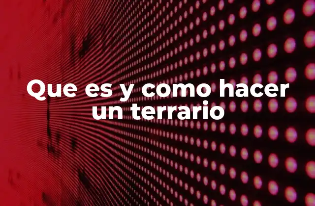 Que es y como Hacer un Terrario
