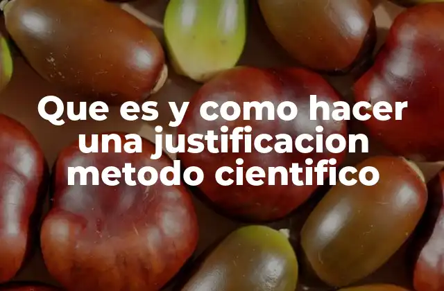 Que es y como Hacer una Justificacion Metodo Cientifico
