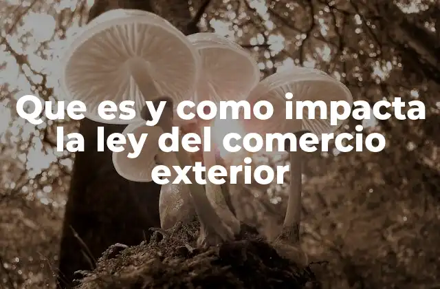 Que es y como Impacta la Ley Del Comercio Exterior