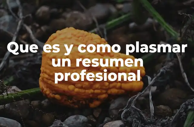 Que es y como Plasmar un Resumen Profesional
