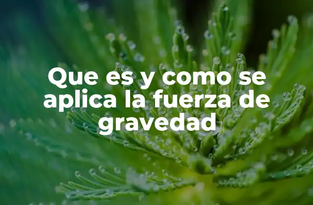 Que es y como Se Aplica la Fuerza de Gravedad