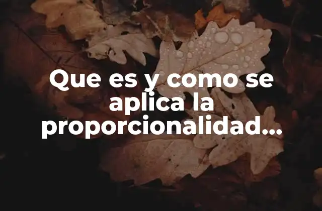 Que es y como Se Aplica la Proporcionalidad Directa