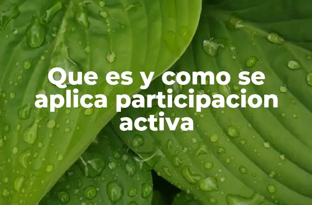 La participación activa en la sociedad moderna