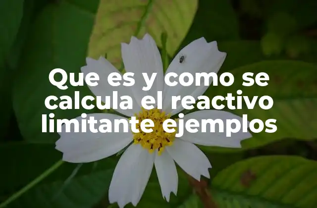 Que es y como Se Calcula el Reactivo Limitante Ejemplos