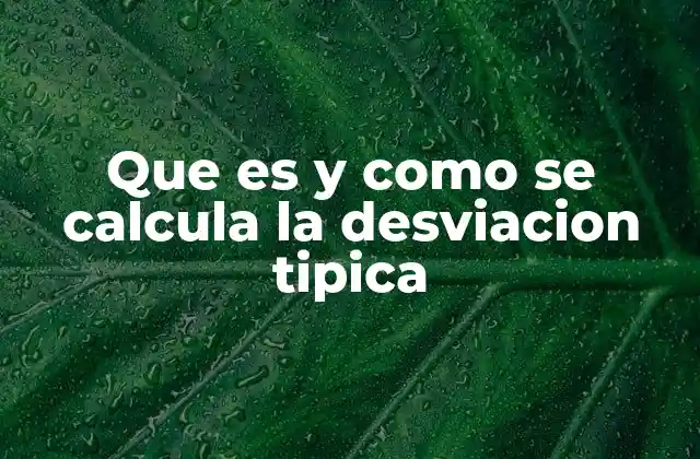 Que es y como Se Calcula la Desviacion Tipica
