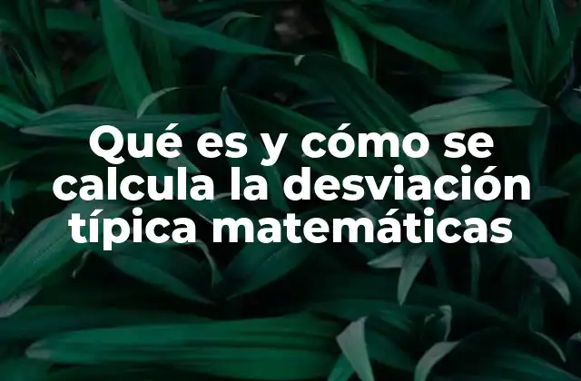 Qué es y Cómo Se Calcula la Desviación Típica Matemáticas