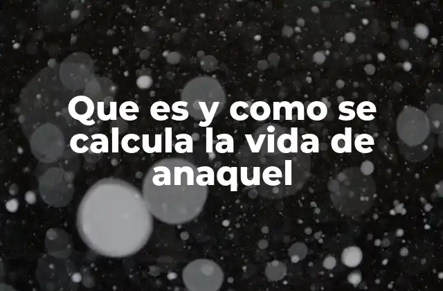 Que es y como Se Calcula la Vida de Anaquel