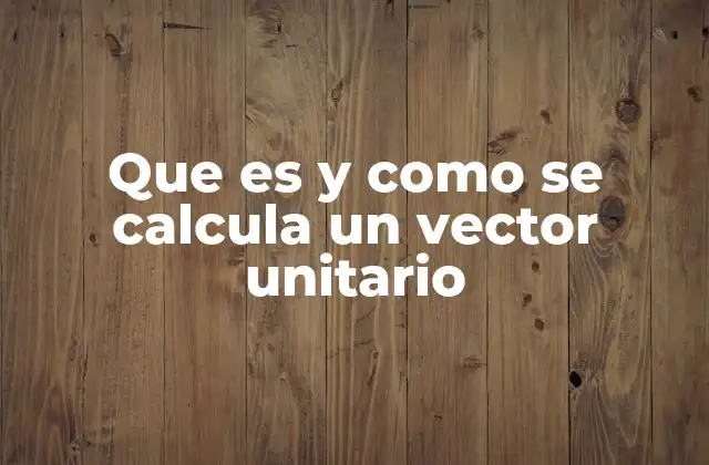 Uso de vectores unitarios en la representación espacial