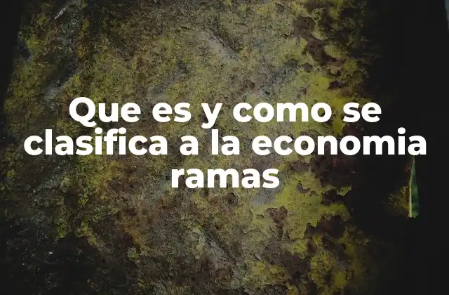 Que es y como Se Clasifica a la Economia Ramas