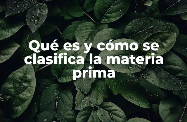 Qué es y Cómo Se Clasifica la Materia Prima
