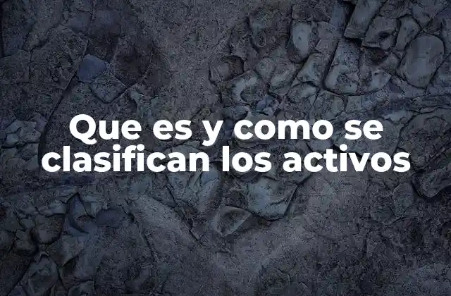 Que es y como Se Clasifican los Activos