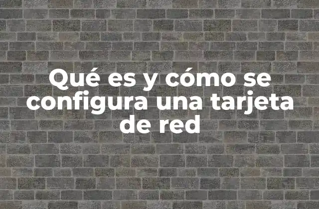 Qué es y Cómo Se Configura una Tarjeta de Red