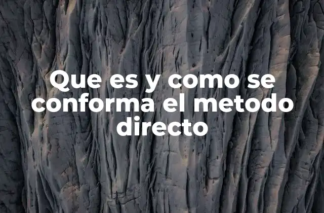 Que es y como Se Conforma el Metodo Directo