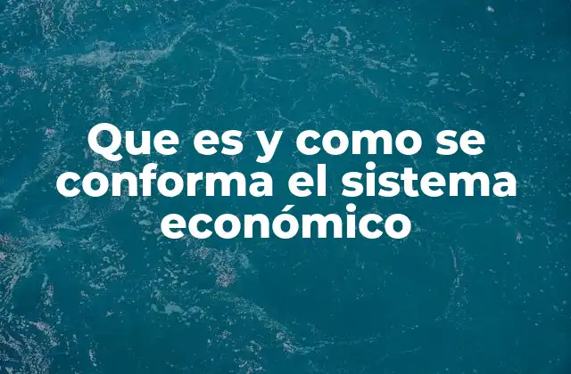 Que es y como Se Conforma el Sistema Económico