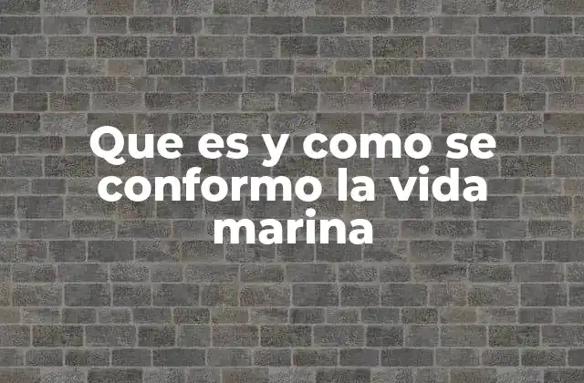 El surgimiento de ecosistemas marinos