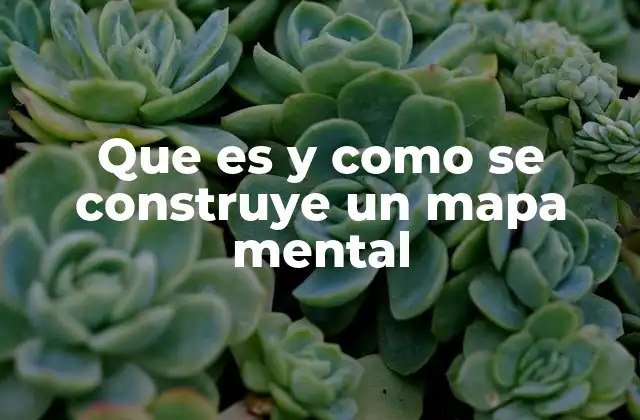 Que es y como Se Construye un Mapa Mental 2 Cómo funciona la mente al crear mapas mentales