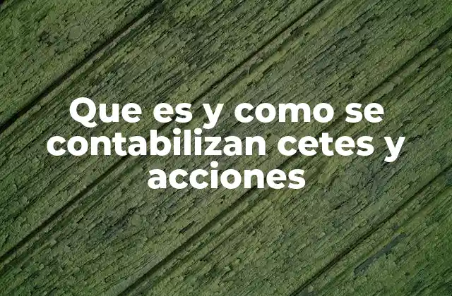 Que es y como Se Contabilizan Cetes y Acciones