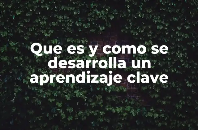 Que es y como Se Desarrolla un Aprendizaje Clave