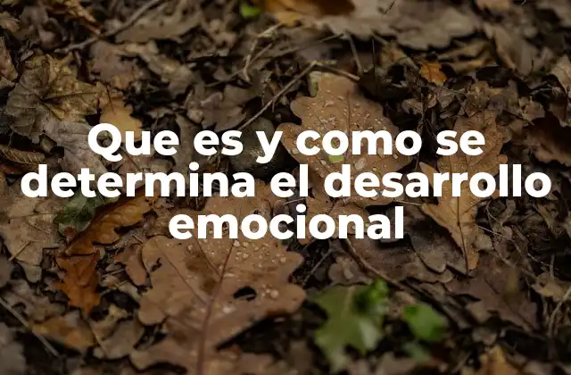 Que es y como Se Determina el Desarrollo Emocional