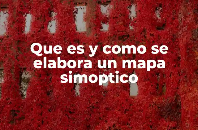 Que es y como Se Elabora un Mapa Simoptico