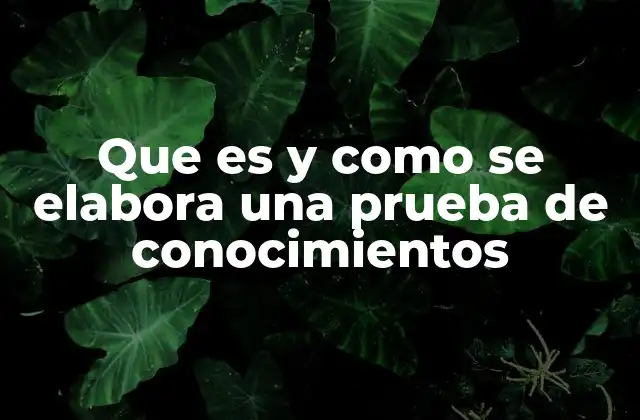 Que es y como Se Elabora una Prueba de Conocimientos 2 Cómo preparar una prueba de conocimientos de calidad