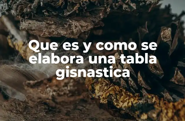 Que es y como Se Elabora una Tabla Gisnastica