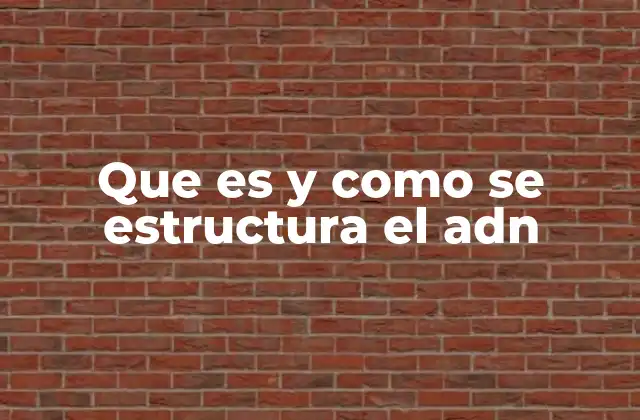 Que es y como Se Estructura el Adn