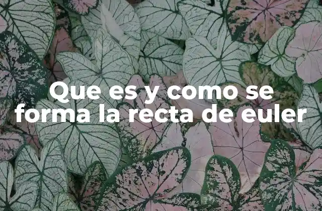Que es y como Se Forma la Recta de Euler