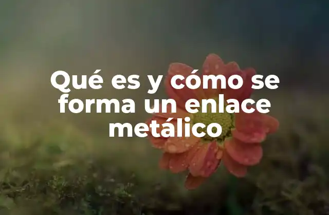 Qué es y Cómo Se Forma un Enlace Metálico 2 La estructura interna de los metales y el enlace