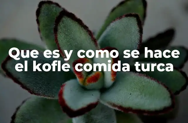 Que es y como Se Hace el Kofle Comida Turca