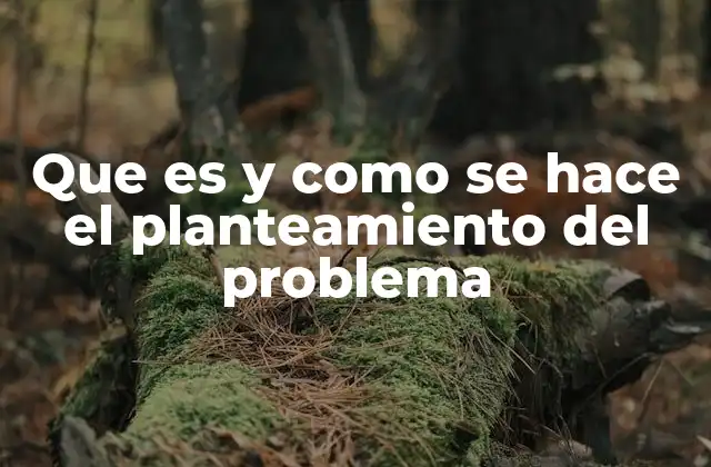 Que es y como Se Hace el Planteamiento Del Problema