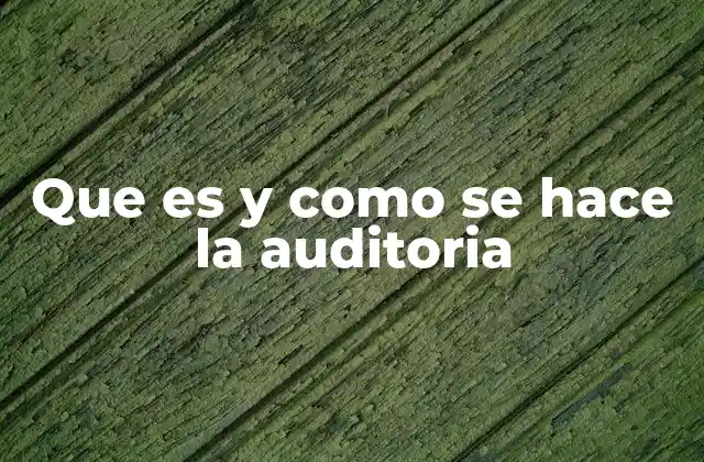 Que es y como Se Hace la Auditoria