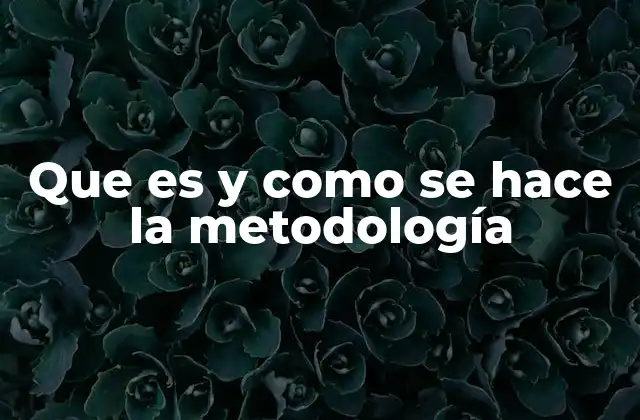 La importancia de tener un enfoque metodológico en proyectos complejos