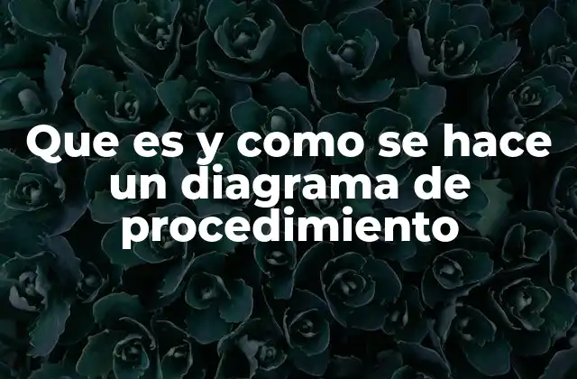 Que es y como Se Hace un Diagrama de Procedimiento